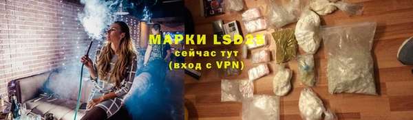 гашик Зеленокумск