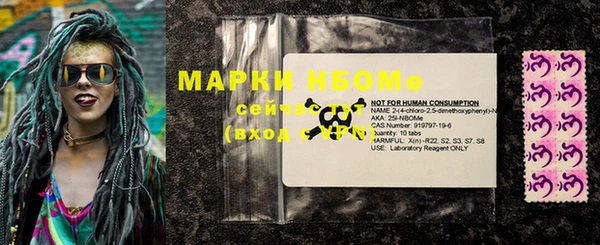 гашик Зеленокумск