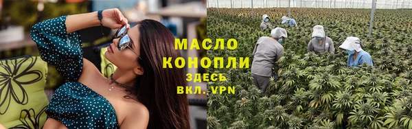 гашик Зеленокумск