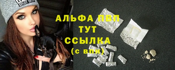 гашик Зеленокумск